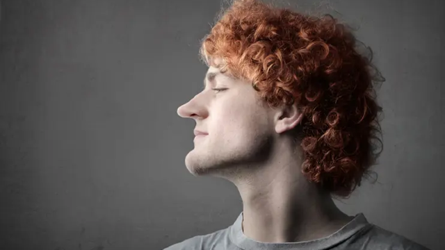 Long Nose Treatment in Rhinoplasty