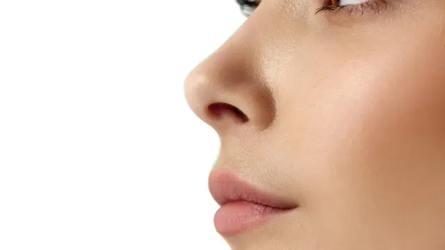 Rhinoplasty Surgery