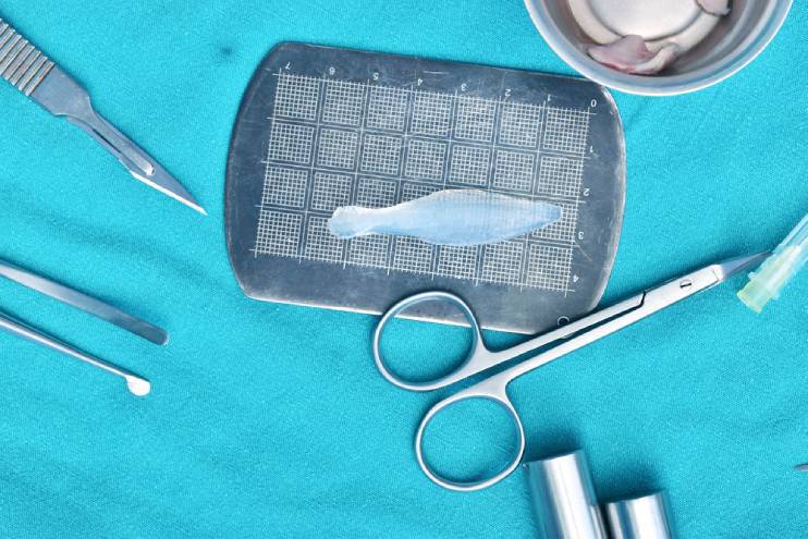 Silicone Implants