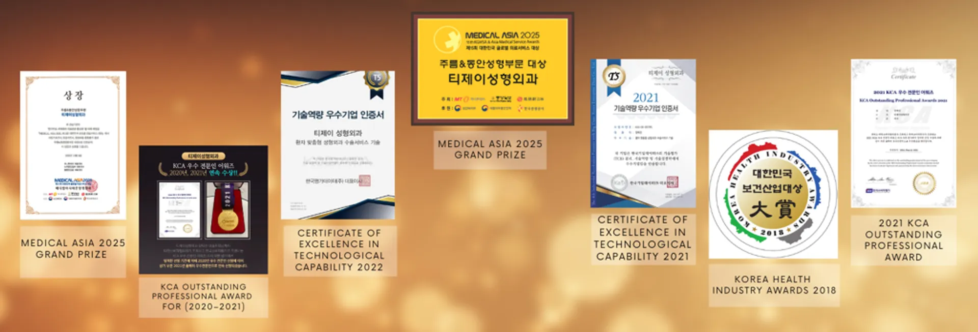 TJ Plastic Surgery Prestigious Awards Banner
